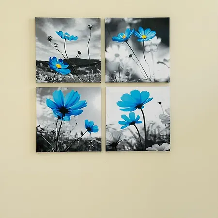 Alojamento de Acomodação e Pequeno-almoço Terminal House